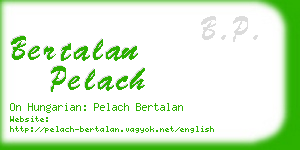 bertalan pelach business card